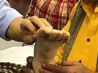 第38回特別研究会の様子11